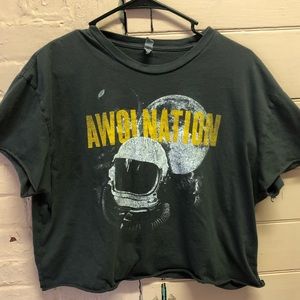 AWOLNATION crop